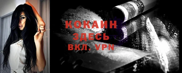 индика Мегион