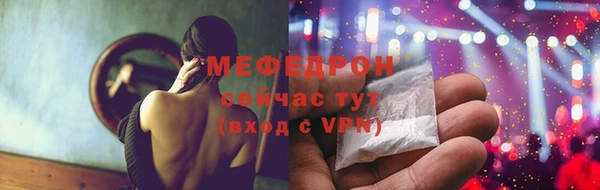 индика Мегион