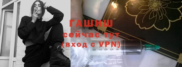 индика Мегион