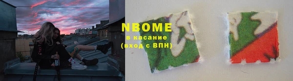 индика Мегион