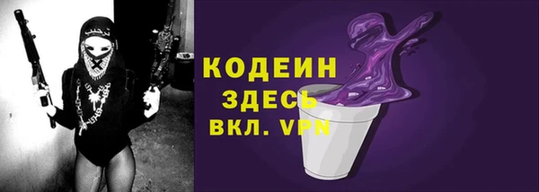 индика Мегион