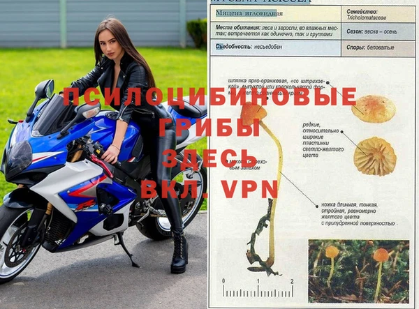 альфа пвп VHQ Медвежьегорск