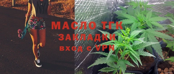 индика Мегион