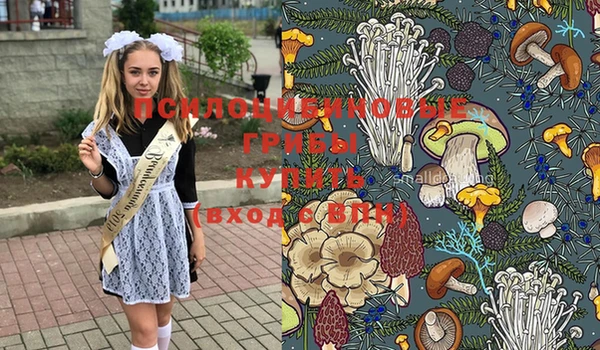 индика Мегион