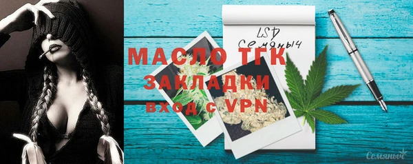 индика Мегион