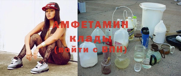 молекула духа Пионерский