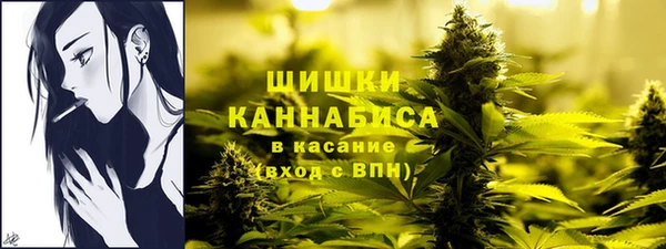 индика Мегион