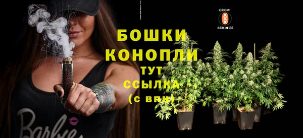 индика Мегион