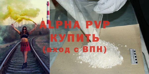 индика Мегион